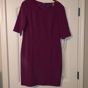 Tahari Rum Raisin Dress